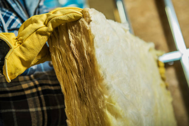 Best Insulation for Commercial Buildings  in Palmer, TX